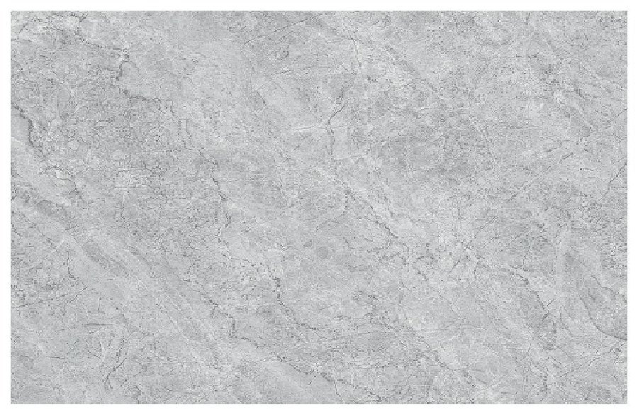 Germania gris Germania gris